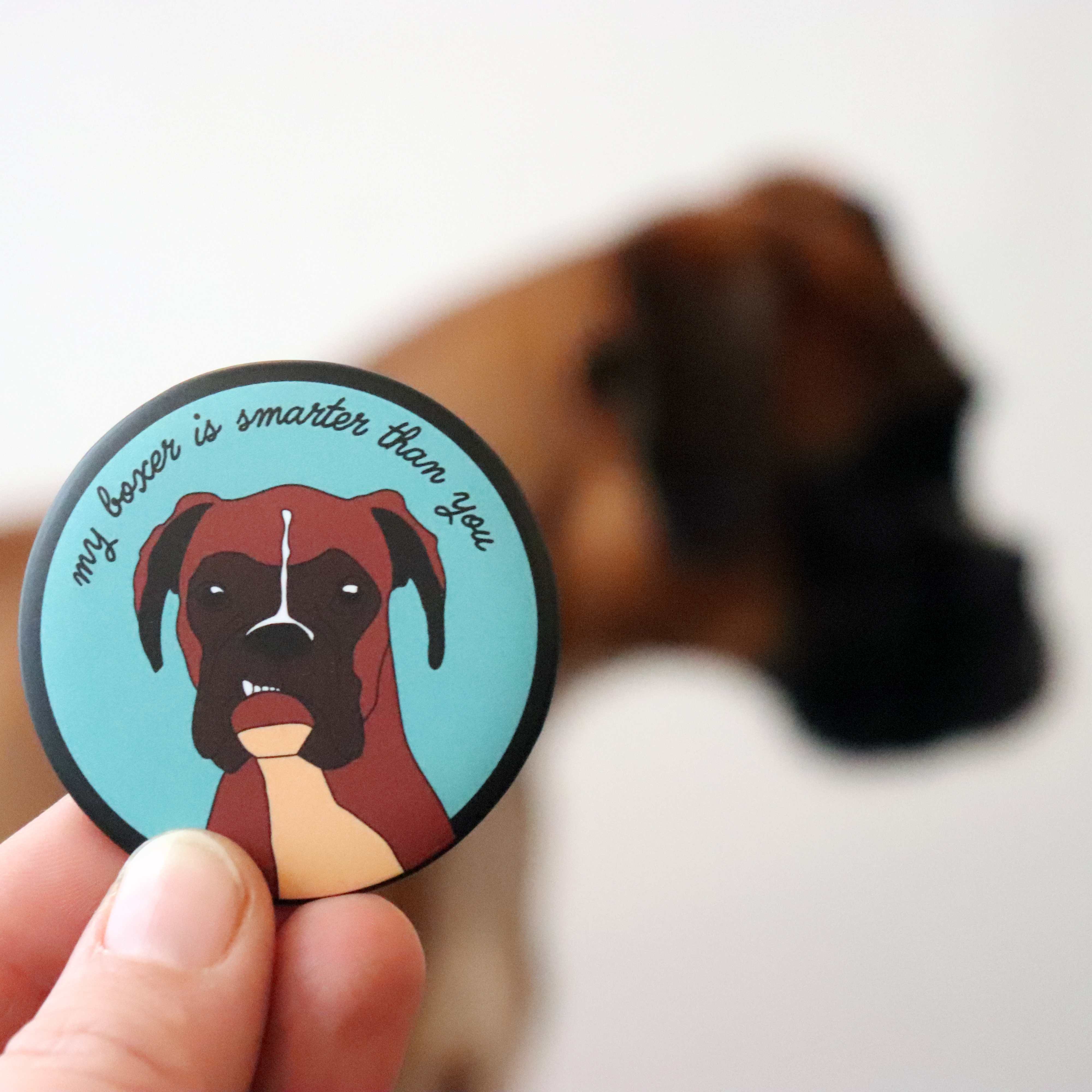 magnet décaps "my boxer is smarter than you"